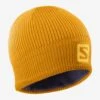 Salomon Logo Beanie (Autumn Blaze/Citrus) -Saucony Clothing Shop 18971DD3 061F 462F A3AB 283688CE3430
