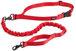 Stunt Runner Leash -Saucony Clothing Shop 26350E12 FA9F 41E2 BF8B D68D63B778FF