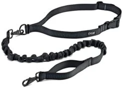 Stunt Runner Leash