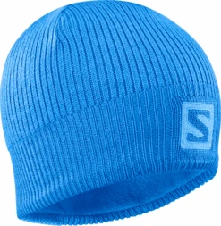 Salomon Logo Beanie (Indigo Bunting/Blithe)