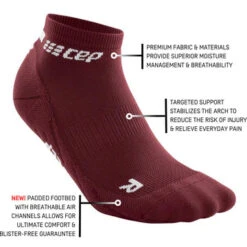 CEP Women's The Run Low Cut Socks 4.0 (Dark Red) 11 CEP Women's The Run Low Cut Socks 4.0 (Dark Red) -Saucony Clothing Shop The Run Low 4.0 darkred infographic 360x 1b3a1c09 45d3 4590 a81a 0341edff3c42